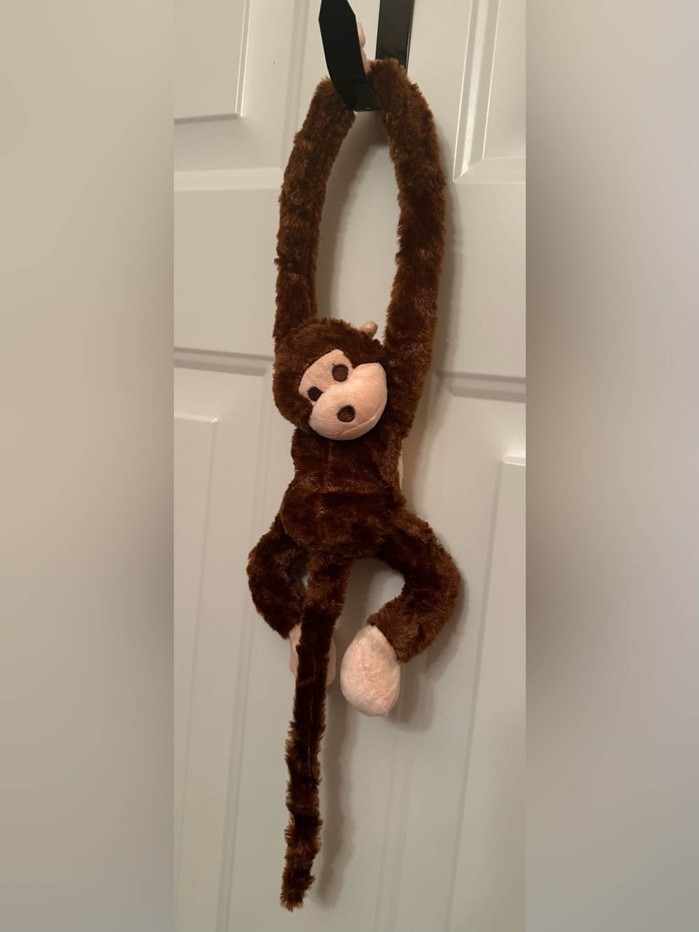 Cute Little Monkey